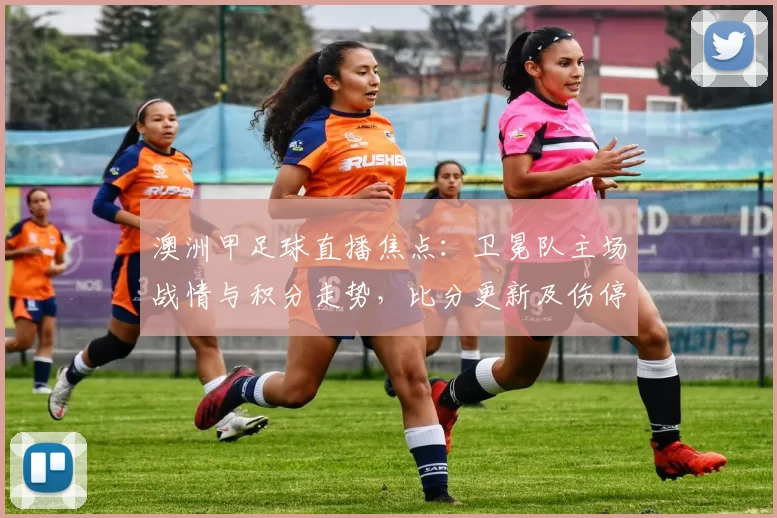 澳洲甲足球直播焦点：卫冕队主场战情与积分走势，比分更新及伤停影响